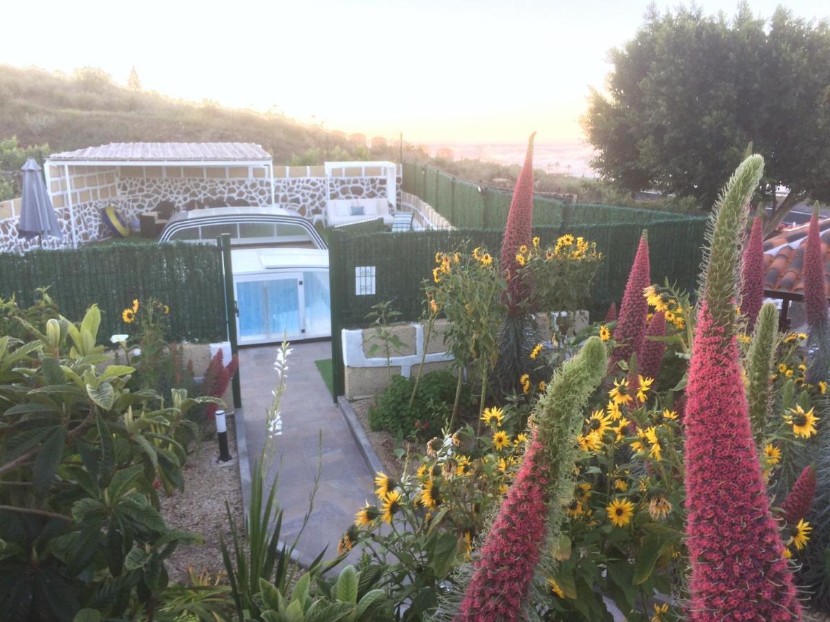 Casa Rural Finca Paraiso. Heated Pool Vilaflor Kültér fotó